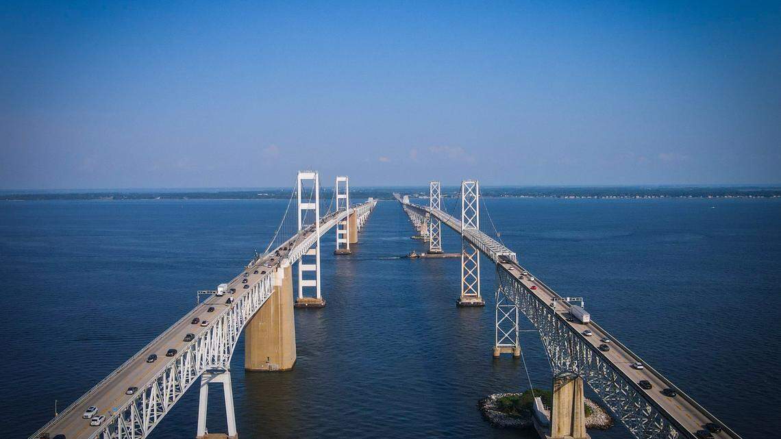 The massive fish was caught near the Chesapeake Bay Bridge.