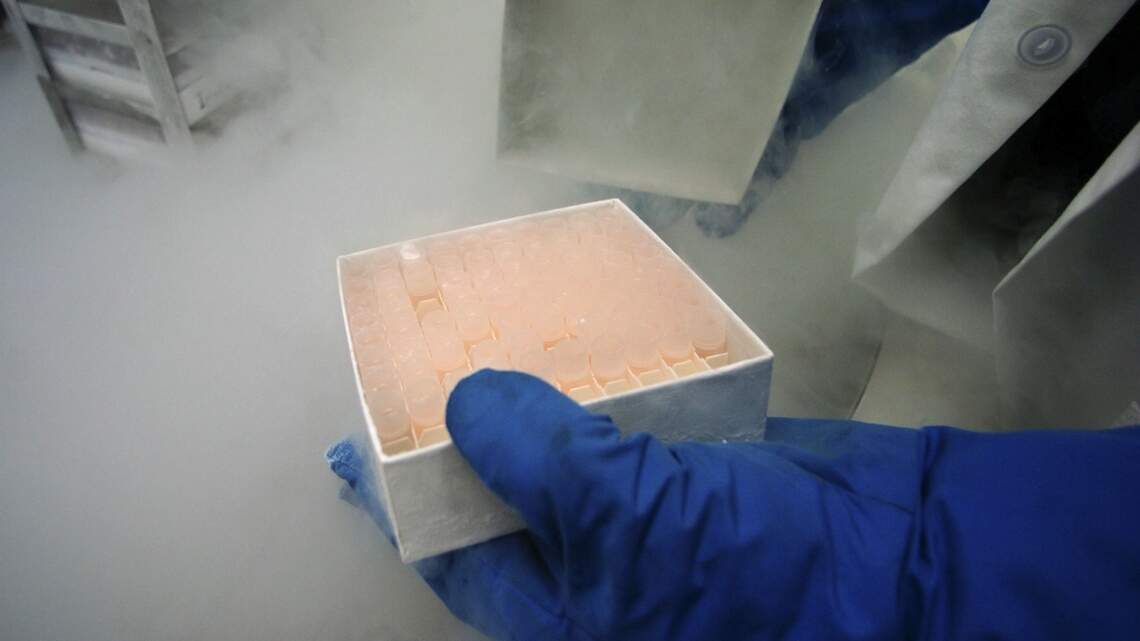 Stem Cell Clinics Are Selling Hope Abroad. Here’s Why Experts Aren’t Buying It