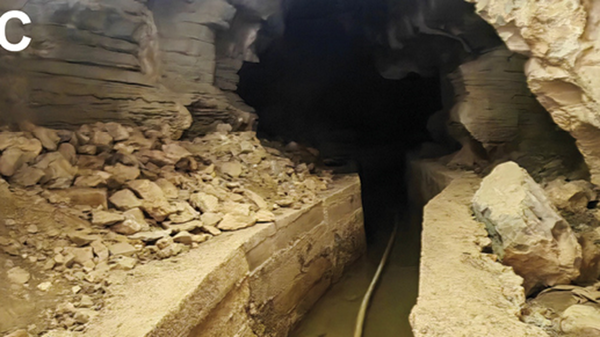 In a cave in China, a camouflaged creature was found at dusk.