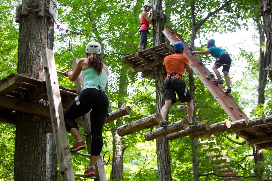 Access the zip lines and obstacles via wooden ladders and platforms.