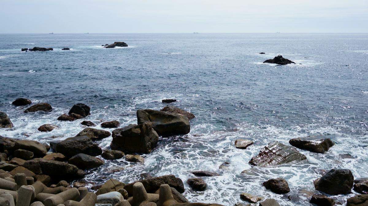 Along the coast of southeastern Japan, an animal was found decades before it was identified as a new species.