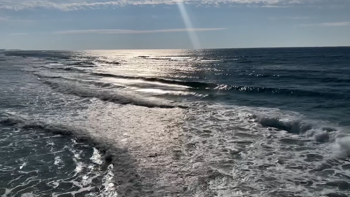 A Mississippi fish tagging program focused on sportsfish in the Gulf of Mexico had made a surprising discovery in a blue marlin’s stomach.