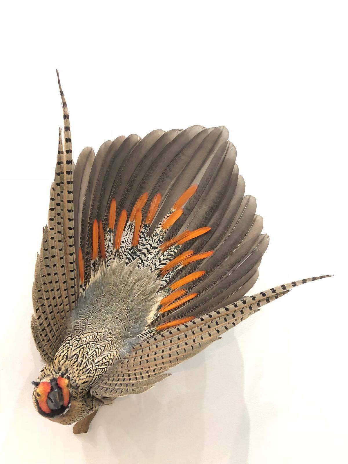 “Ralph Lauren,” a wall-mounted, feather-covered sculpture by Enrique Gomez de Molina, at Bernice Steinbaum Gallery through Nov. 3, 2018.