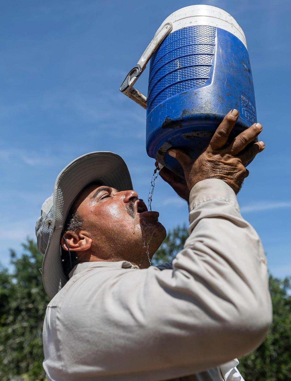 Gilberto Lujano drinks water on a break from work on top of a roof.