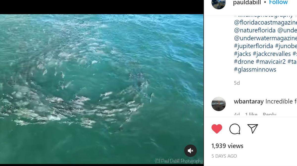 Paul Dabill/Instagram