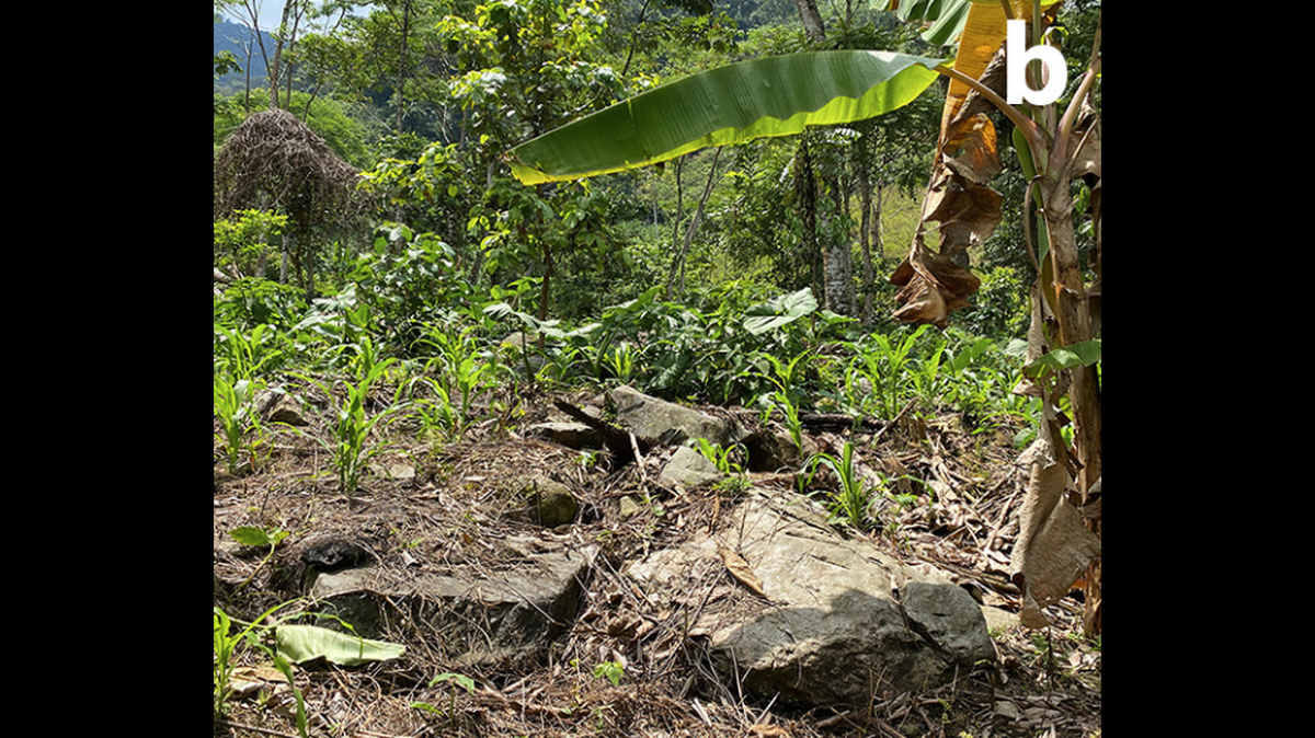 On a small farm in the mountains of Peru, a small creature was rediscovered for the first time in 40 years.