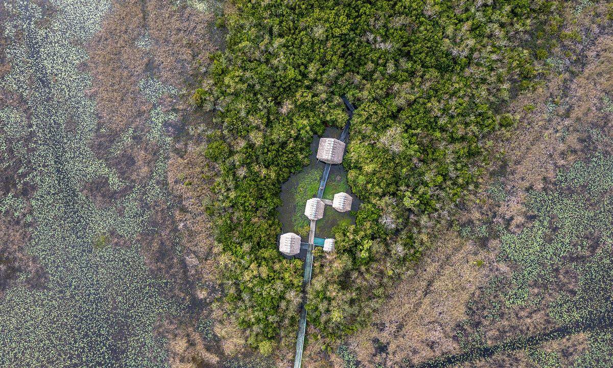 Tree islands in the Everglades make up the Miccosukee tribe’s ancestral homeland but are disappearing because flood control keeps water in the wetlands too high. Water management also interrupted the historic flow of water to southern marshes that helped create the islands.