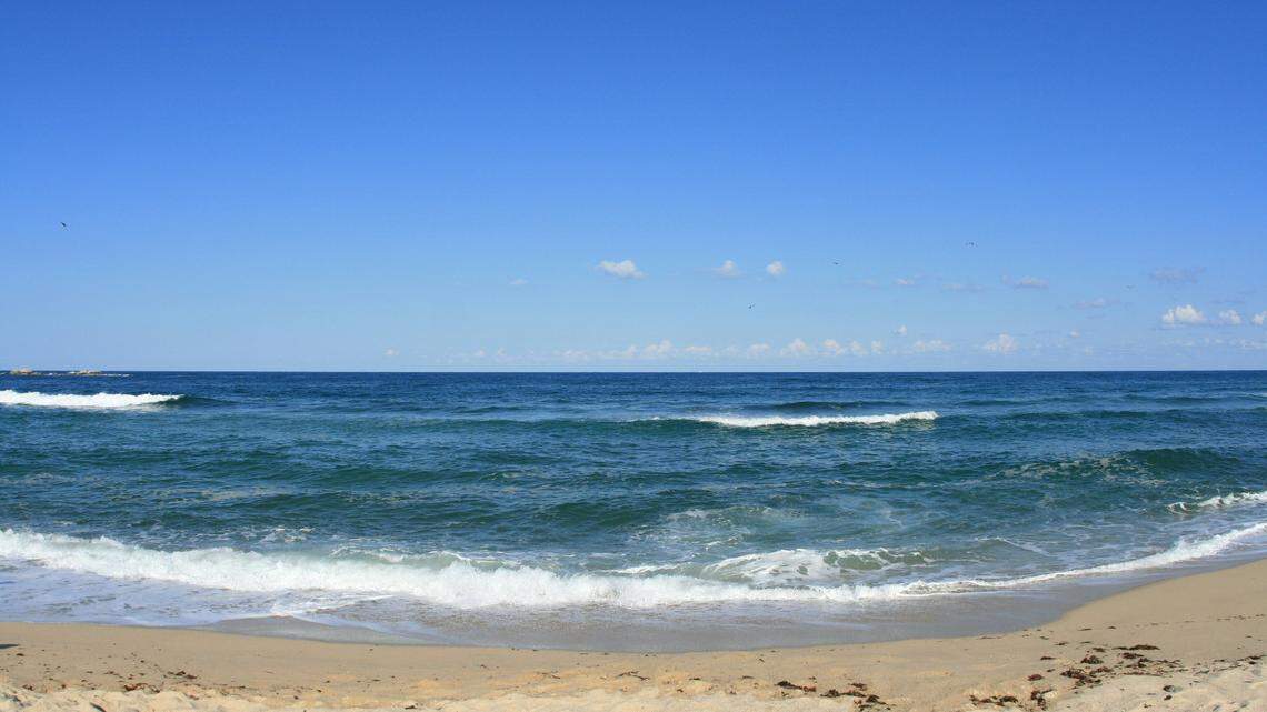 A new “hairy”-bodied species was discovered from two Korean islands in the East Sea, researchers said. This photo is representative of the East Sea.