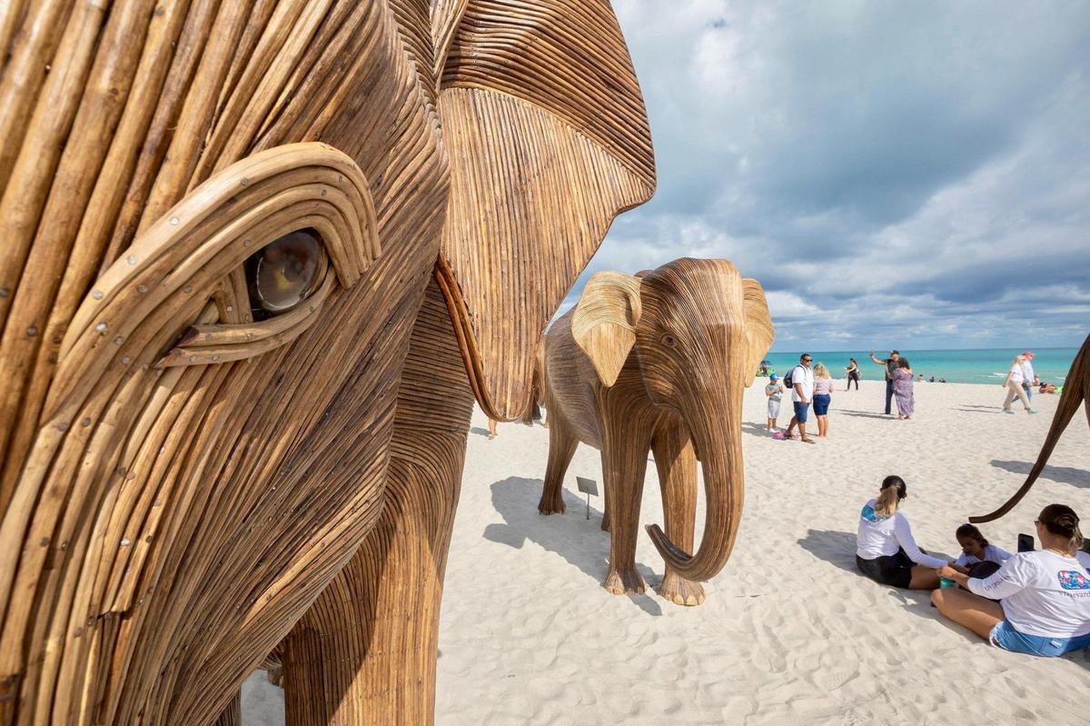 A view of The Great Elephant Migration, a striking installation featuring life-sized elephants crafted from lantana, on display in Miami Beach on Tuesday, November 26, 2024. These magnificent sculptures were created by The Real Elephant Collective, a collaborative effort involving 200 indigenous artisans from the Bettakurumba, Paniya, Kattunayakan, and Soliga communities of India’s Nilgiri Biosphere Reserve in Tamil Nadu. This installation is part of a series of public art exhibitions appearing across Miami in the lead-up to Art Basel and its associated fairs.”