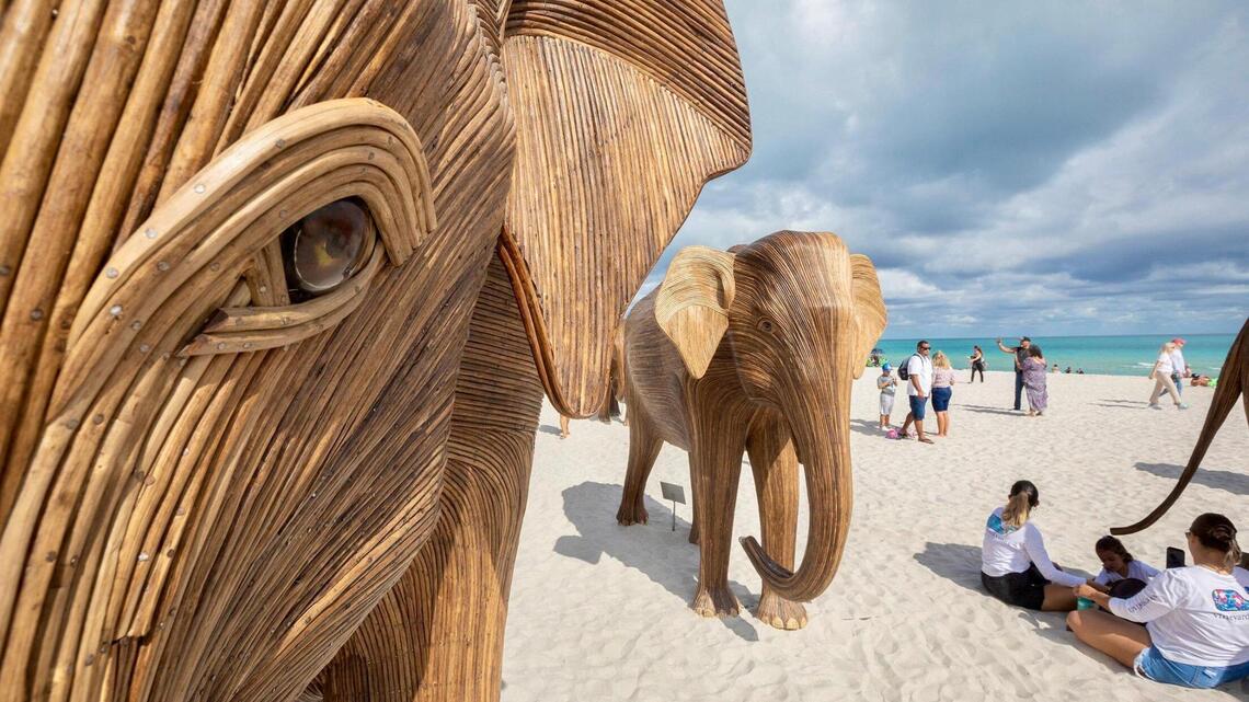 Miami Art Week is overwhelming but these are the events you don’t want to miss