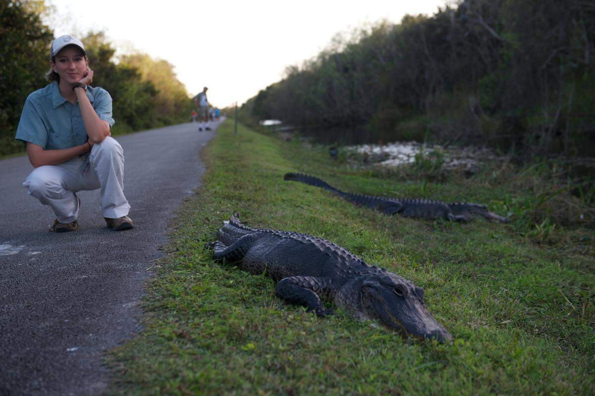 This is part of what we call ‘gatorcizing.’ You burn a solid 500 calories when this thing runs after you.
