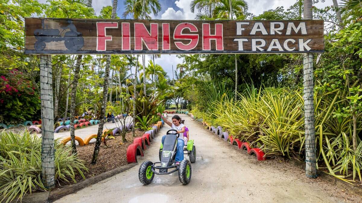 Alice Hernandez, 9, cheers as she crosses the finish line of the go-kart track at By Brothers Attraction Farm in Miami, Fla,, on Sunday, May 31, 2026.