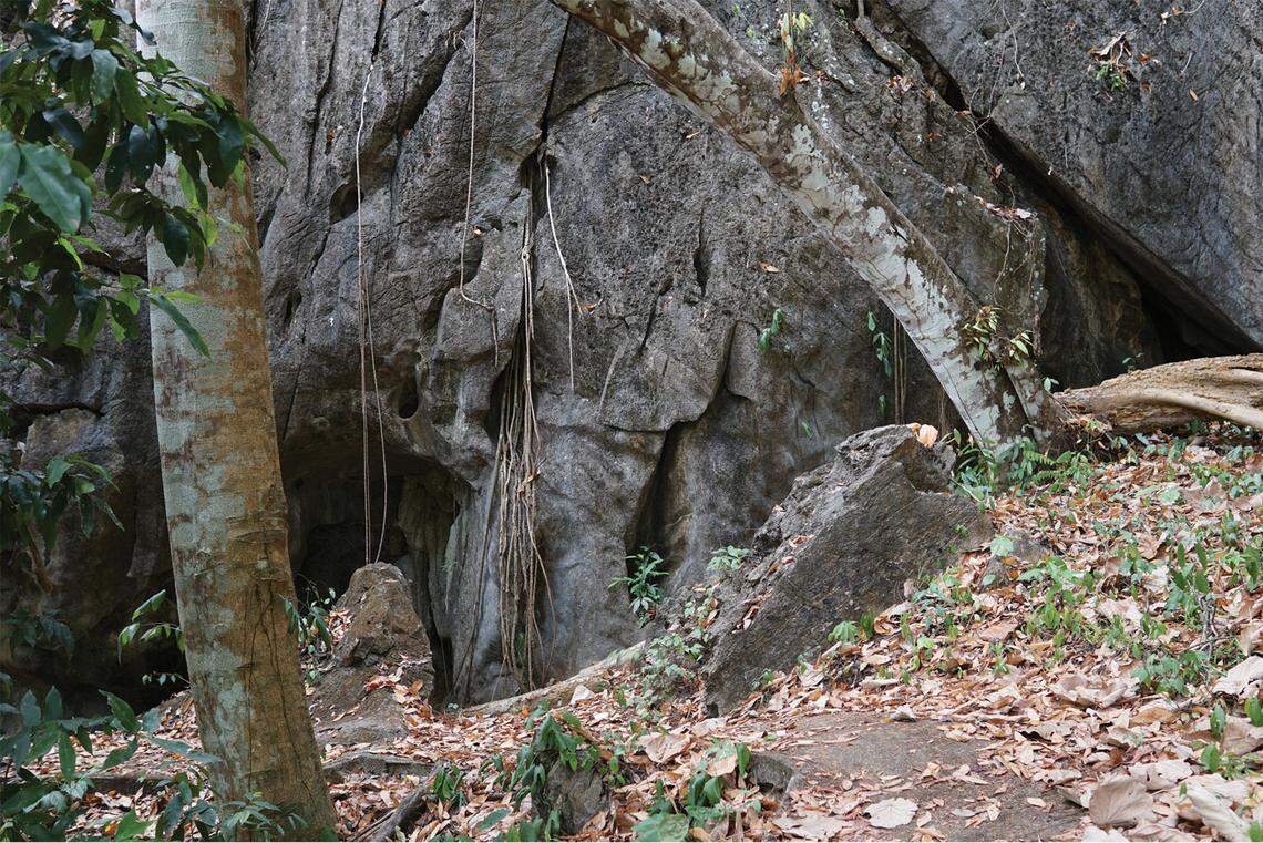 The area where Cyrtodactylus wangkhramensis, or the Wangkhram bent-toed gecko, was discovered.