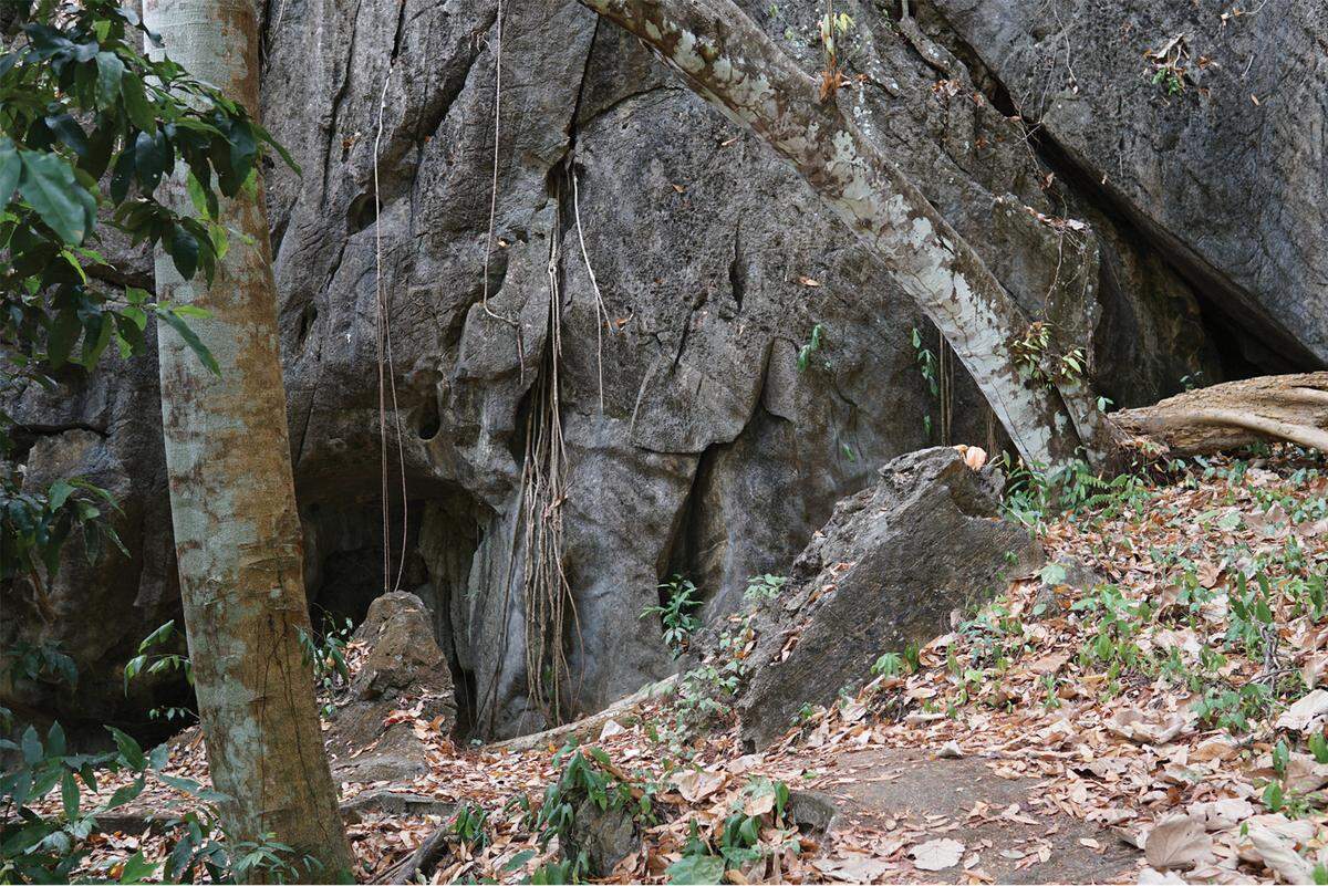 The area where Cyrtodactylus wangkhramensis, or the Wangkhram bent-toed gecko, was discovered.