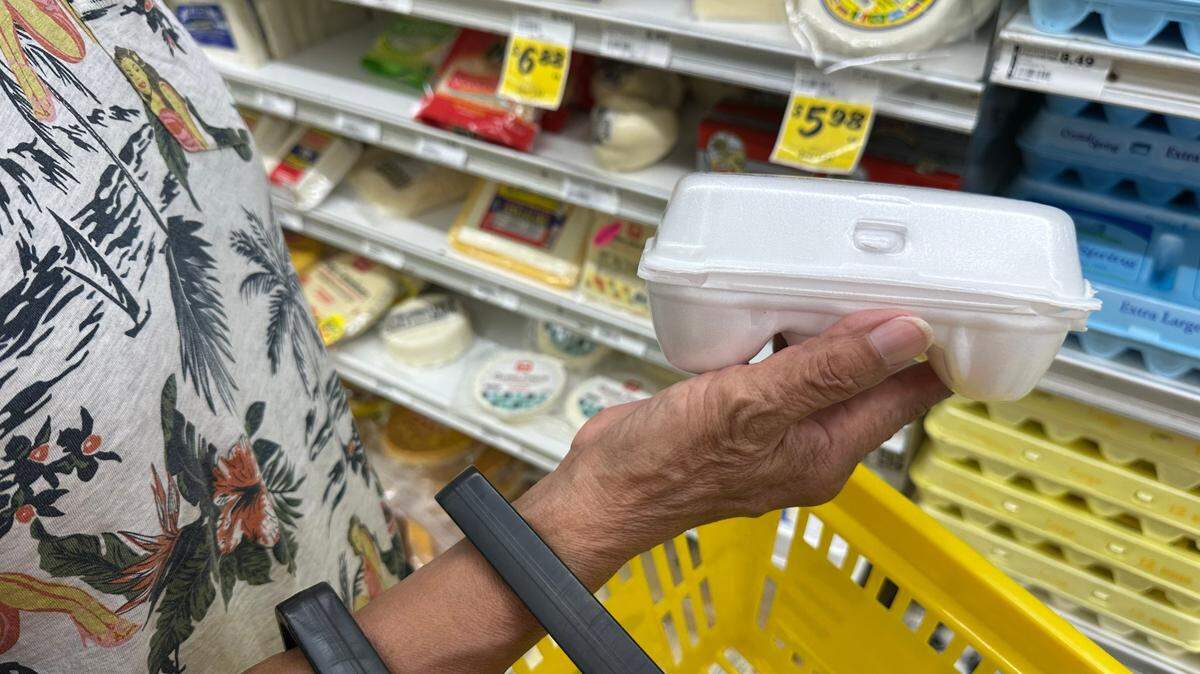 Florida’s FGA leads efforts to reshape SNAP and Medicaid policies, advocating for restrictions on food aid and proposing public benefits reforms nationally.