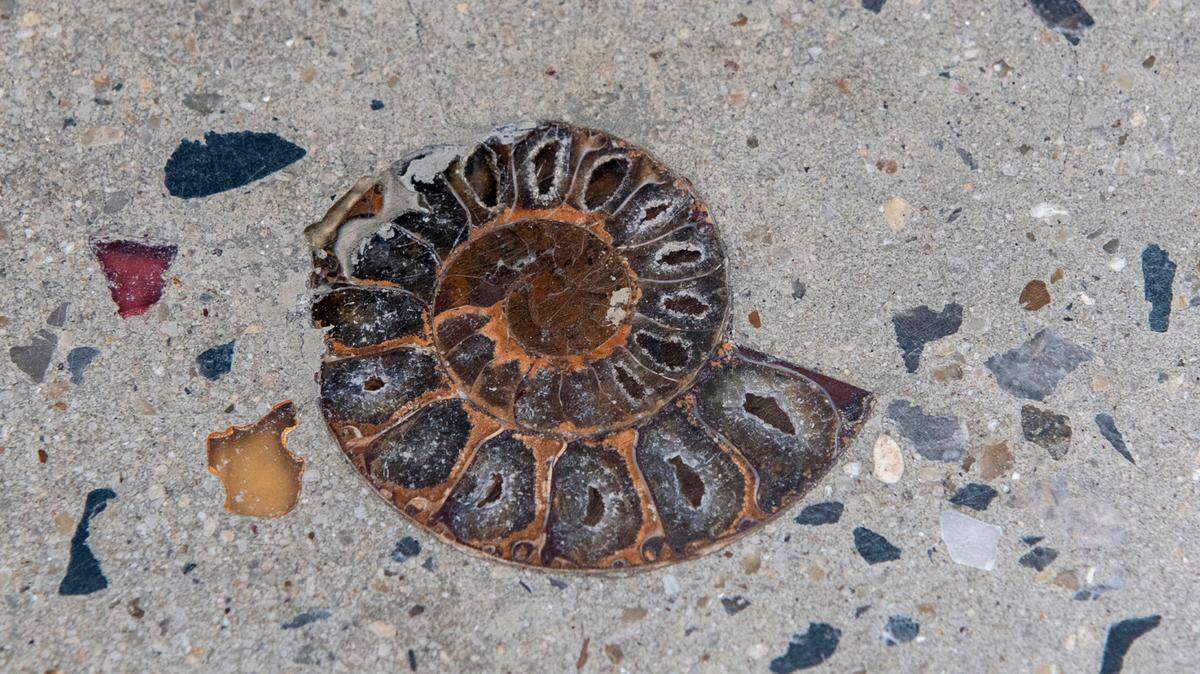 The fossil of an ammonite is embedded in the new pavement of a shopping area in Bangkok on May 3, 2022. (Photo by Alex OGLE / AFP) (Photo by ALEX OGLE/AFP via Getty Images)