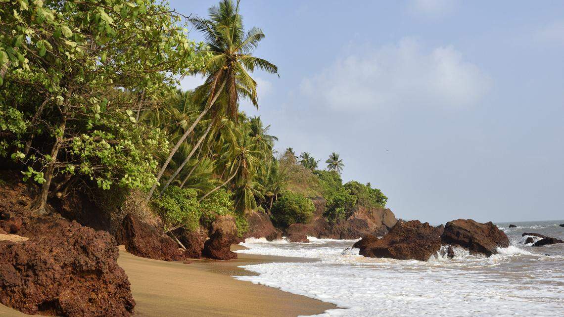 Off the coast of Kerala, India, a trawling net caught a new species of bottom-dweller.