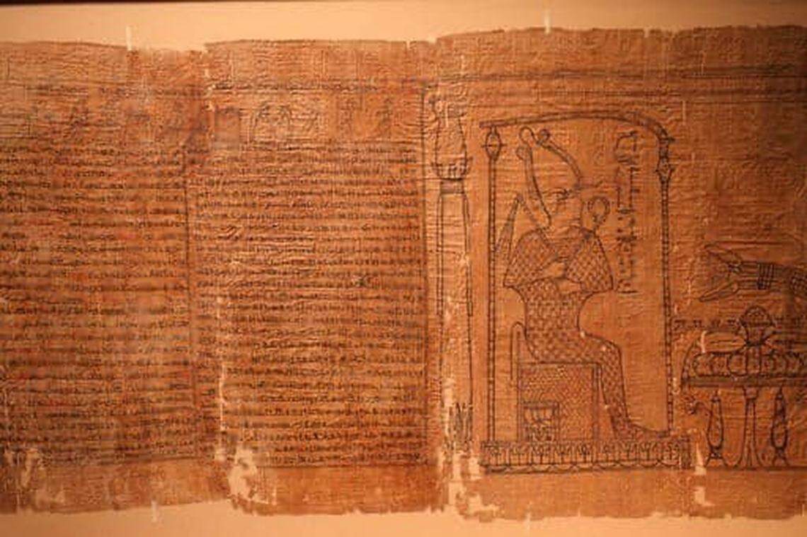 A section of the papyrus.