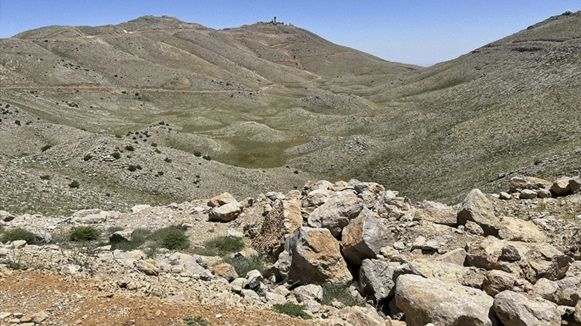 Scientists discovered “rare” new species of animal with “secretive lifestyle” in mountains of Israel, Lebanon, Syria, study said.