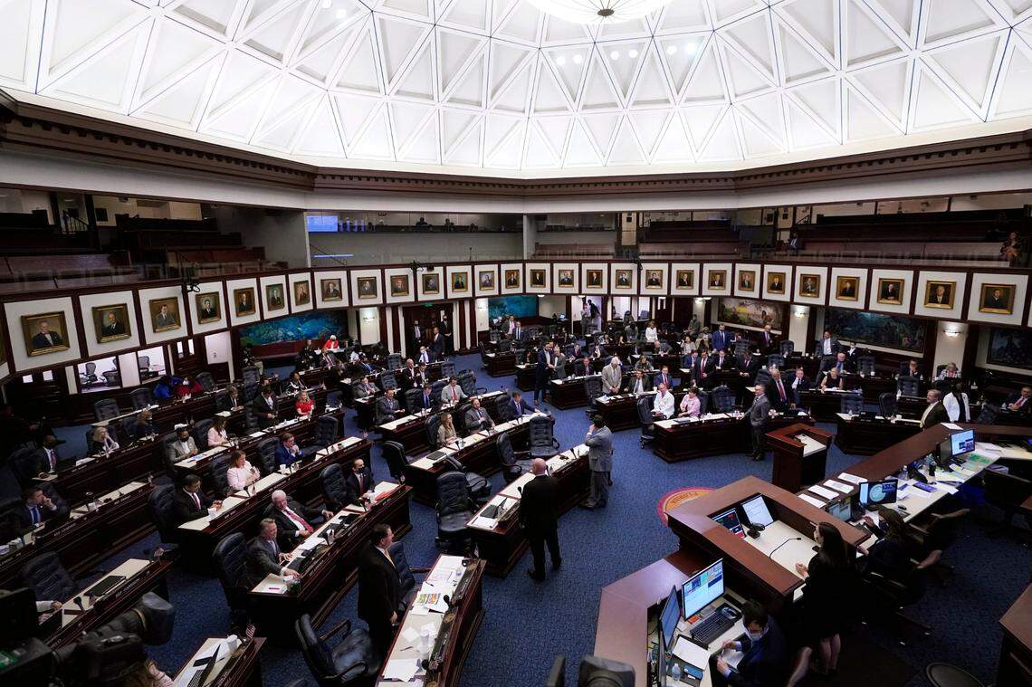 In this 2021 file photo, Members of the Florida House of Representatives work during a legislative session.