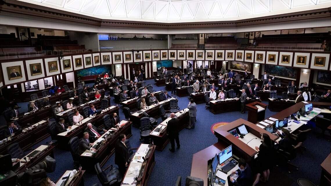 Here’s who qualified for the ballot in South Florida for state Senate and House