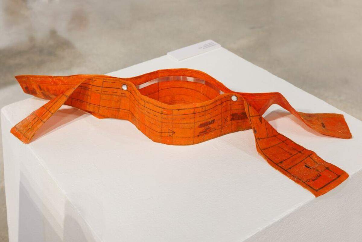 Natalia Garcia-Lee, GOVERNMENT, 2025, mixed media, dimensions variable.