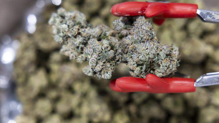 How and why the end of the government shutdown will affect Florida’s smoke shops