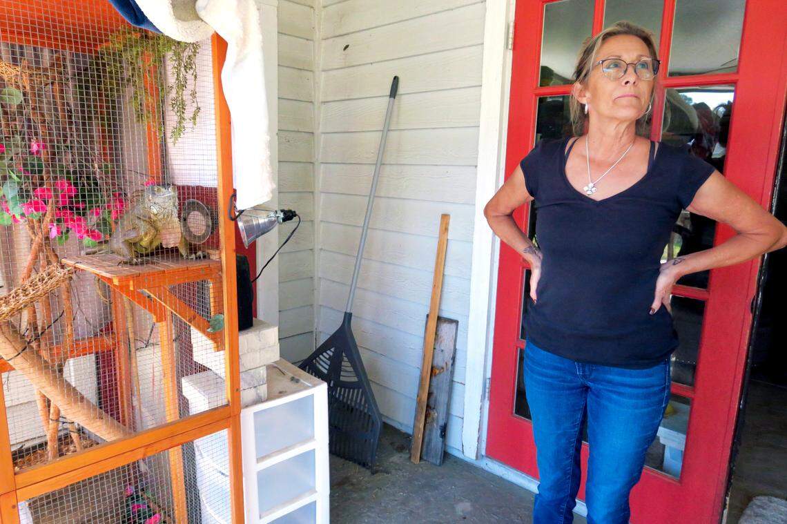 Jody McDonald’s brother, Danny Black, 55, was wearing headphones when a Brightline train struck and killed him in North Miami on Nov. 11, 2023. McDonald spoke to reporters in her Canaveral Groves home in Brevard County. ‘I’ve heard about the accidents and they just keep happening,’ she said. ‘Makes you wonder what precautions they’re taking. What are they doing different?’