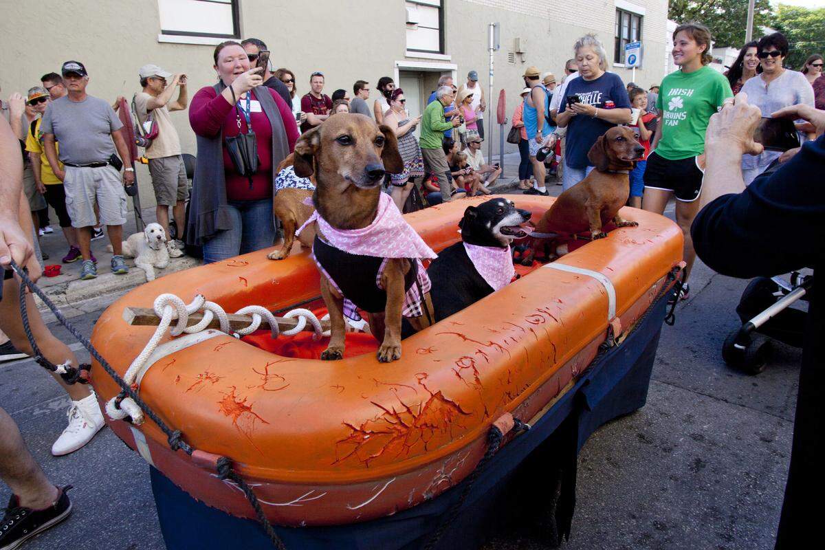 The Annual Key West Dachshund Walk is Tuesday, December 31.