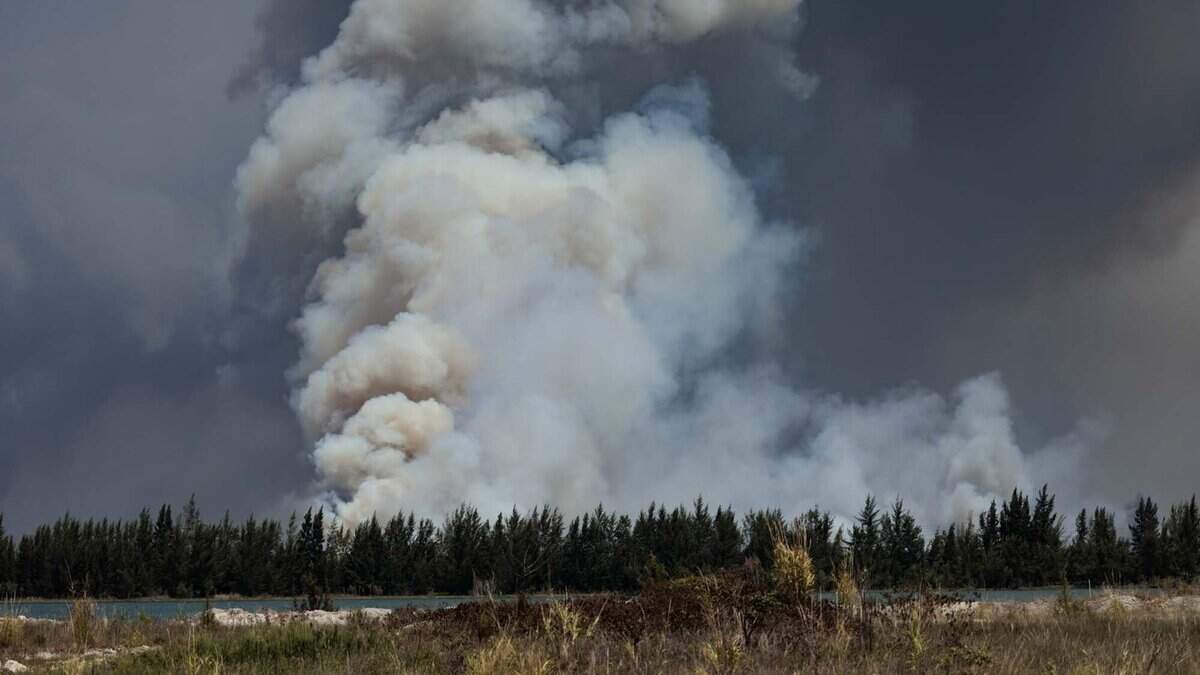 Smoke rises during a brush fire on Wednesday, June 17, 2026, in west Miami-Dade just west of Doral. The fire is 5,300 acres and 30% contained as of Wednesday morning.