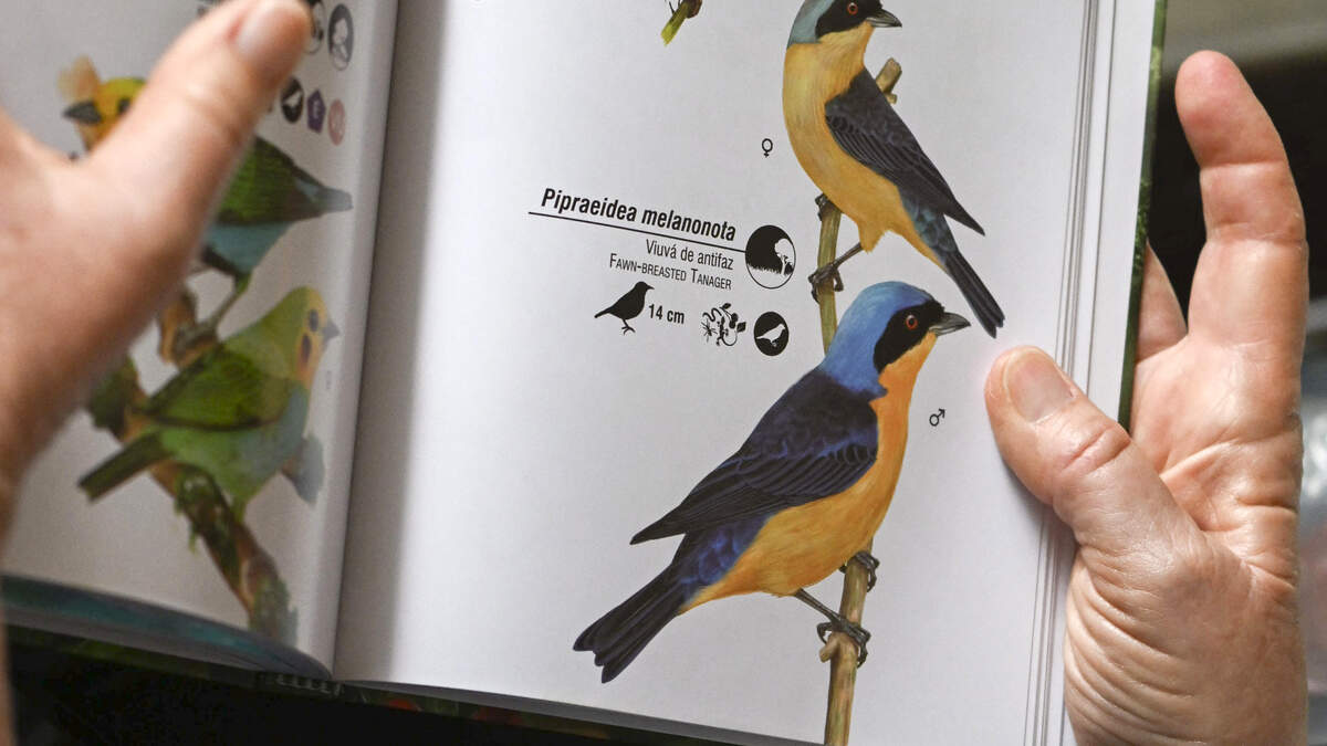A birdwatcher looks for bird references in a book during the Colombian Bird Fair in Cali, Valle del Cauca department, Colombia, on February 13, 2026.