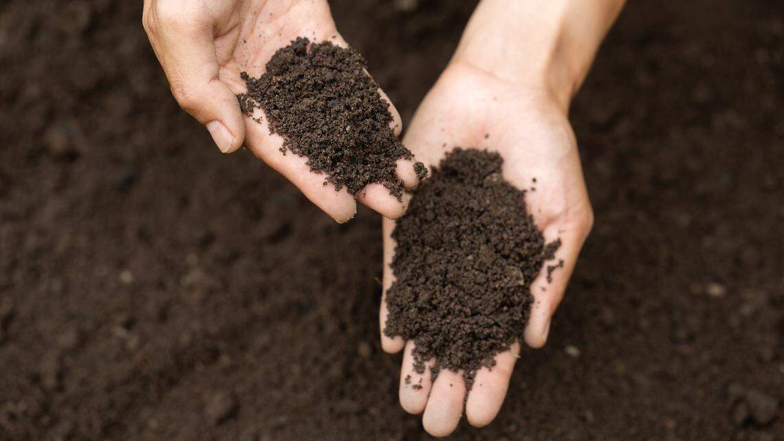 Over the garden fence: Success in the garden starts with soil