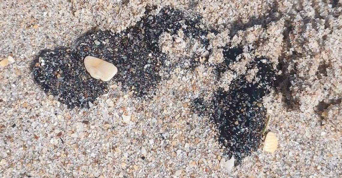Tar balls on a Fort Lauderdale Beach on Saturday.