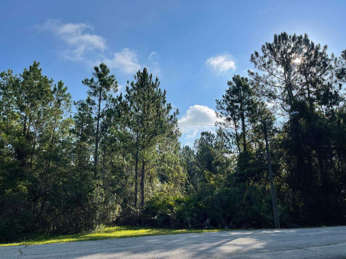 Un terreno de 61 acres en el Condado Flagler está a punto de ser urbanizado para construir el nuevo cuartel general de la Guardia Estatal de la Florida.