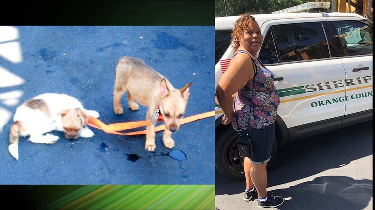 Penelope Stanley was arrested July 2, 2019 and charged with animal cruelty after detectives say she left three dogs in a hot SUV. One of the dogs did not survive.