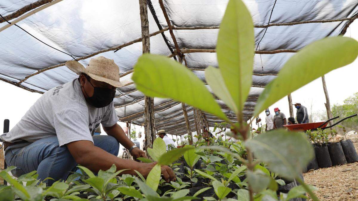 Given war, climate change and supply disruption, many nations worry about securing food for their citizens at affordable prices, while ensuring farmers a basic level of profitability.