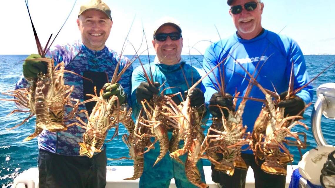 Lobsters take a walk on the ocean floor after hurricanes and no one knows why