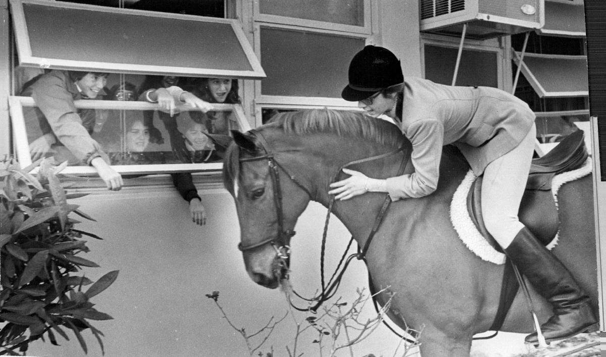 In 1978, Susan Tabas brought her hunting and jumping show horse Freddie to Nautilus Jr. High in Miami Beach as a showand-telltell for her social studies class.