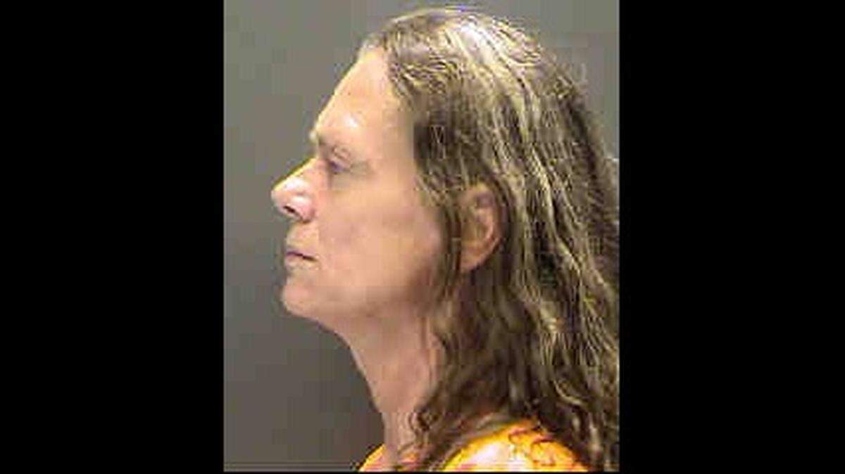 Michele Sedlak was arrested and charged with aggravated battery with a deadly weapon by Sarasota County deputies.