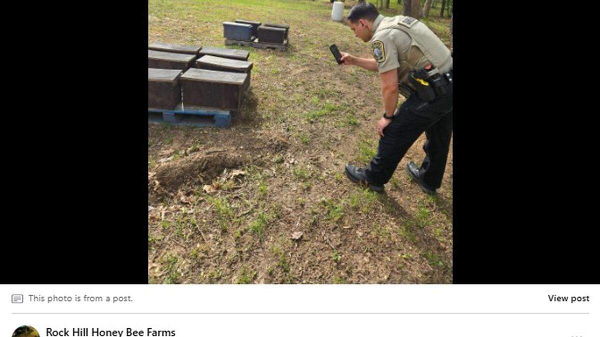 Millions of bees were found dead at Rock Hill Honey Bee Farms in a suspected intentional poisoning, the beekeeper said.
