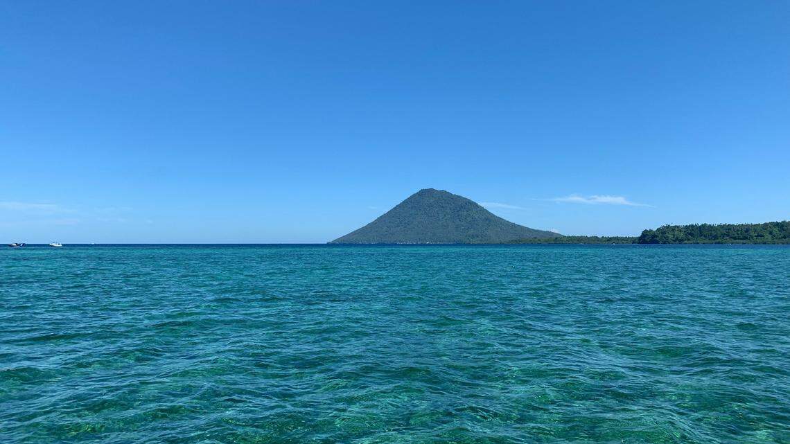While scuba diving off Bunaken Island in Indonesia, two new brightly colored species were discovered.