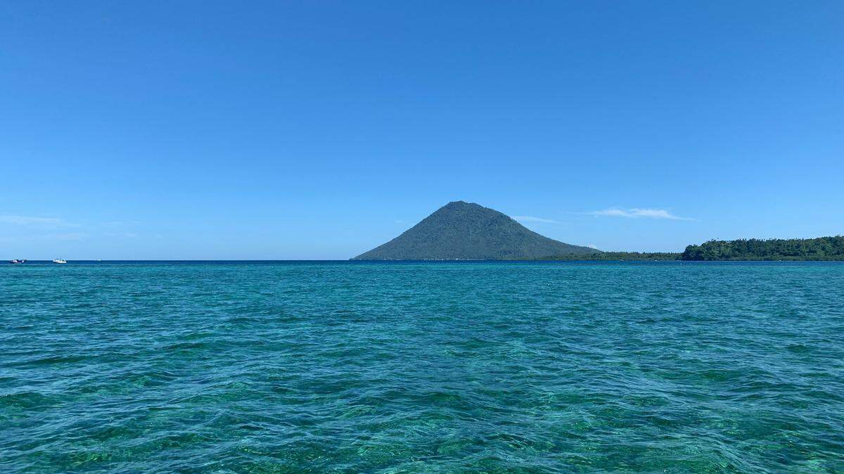 While scuba diving off Bunaken Island in Indonesia, two new brightly colored species were discovered.