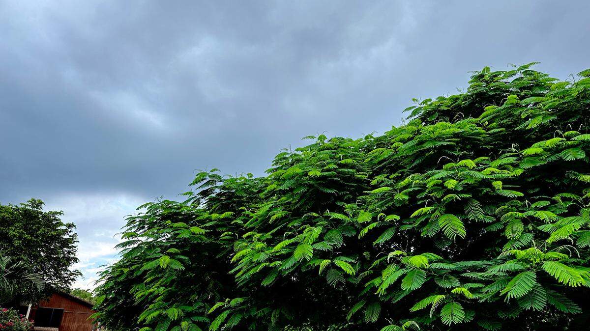 Expect these kind of ominous thunderstorm clouds to remain over Miami-area skies at least until the weekend, National Weather Service in Miami said on Wednesday, Sept. 19, 2023.