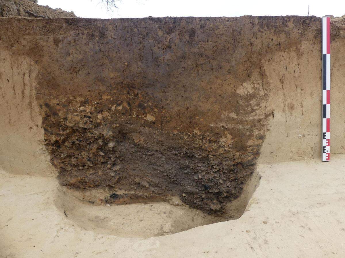 The silos were filled with burnt cob, suggesting a large settlement was once nearby, researchers said.