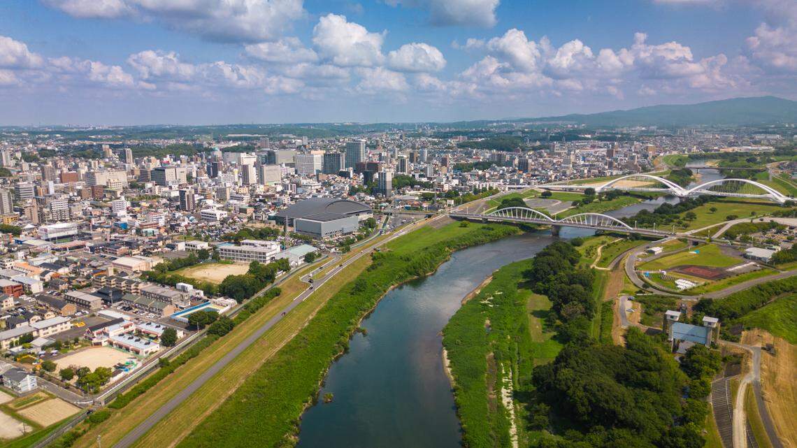 In the gardens and parks of Toyota City, Japan, a small creature turned out to be a new species.