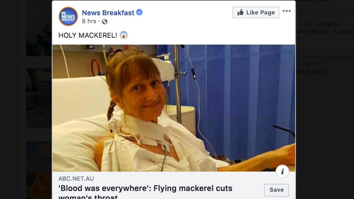 Northern Territory, Australia, woman Belinda Bingham was fishing when a fish jumped from the water and sliced her throat with its fin. Paramedics said she would have bled to death without first aid.