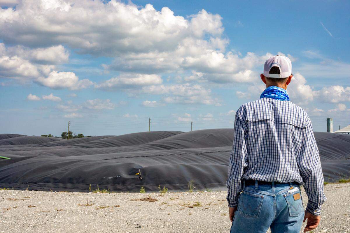 Jacob Larson observa la laguna del digestor anaeróbico en Larson Dairy. El biogás se genera en el digestor anaeróbico cuando los microorganismos se alimentan de materia orgánica en ausencia de oxígeno.