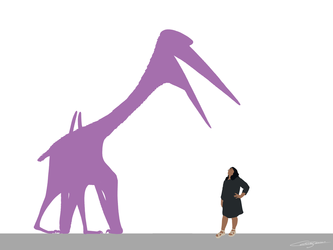 The pterosaur belongs to a group that includes the largest flying animals that ever existed.