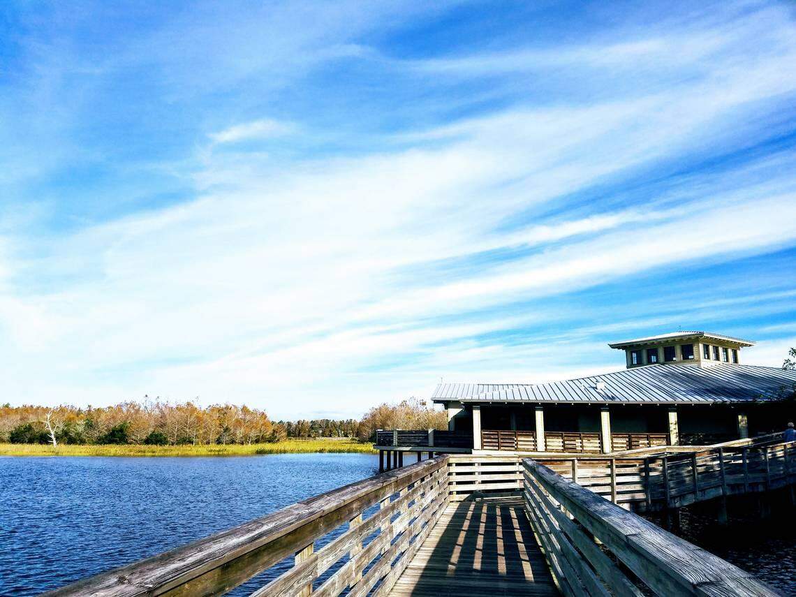 Take a walk on the boardwalk at Green Cay wetlands.