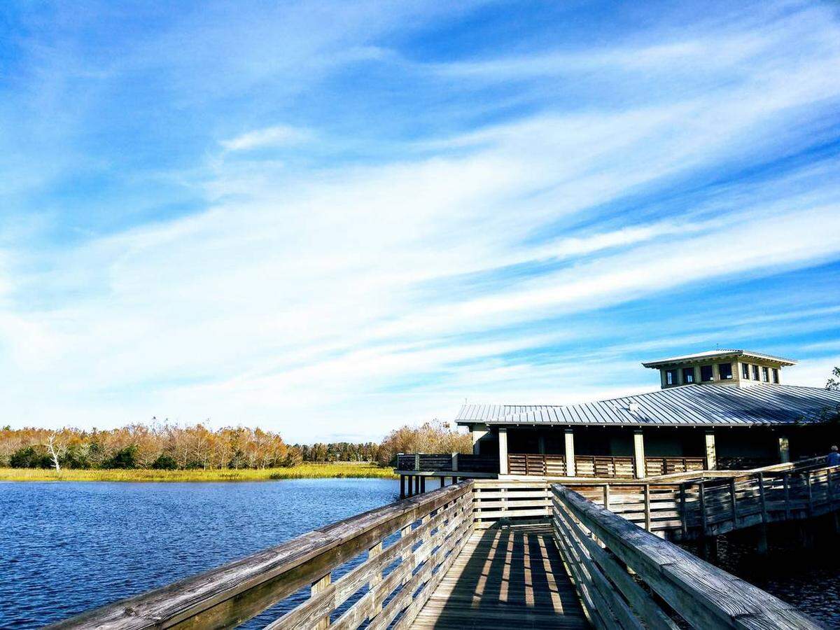 Take a walk on the boardwalk at Green Cay wetlands.